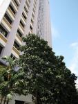 155 Gangsa Road #0