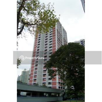 95 Havelock Road