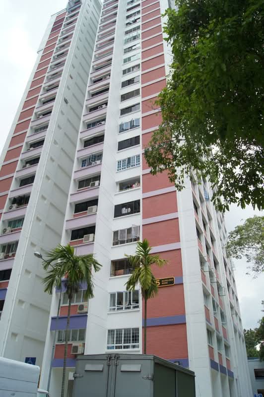 95 Havelock Road