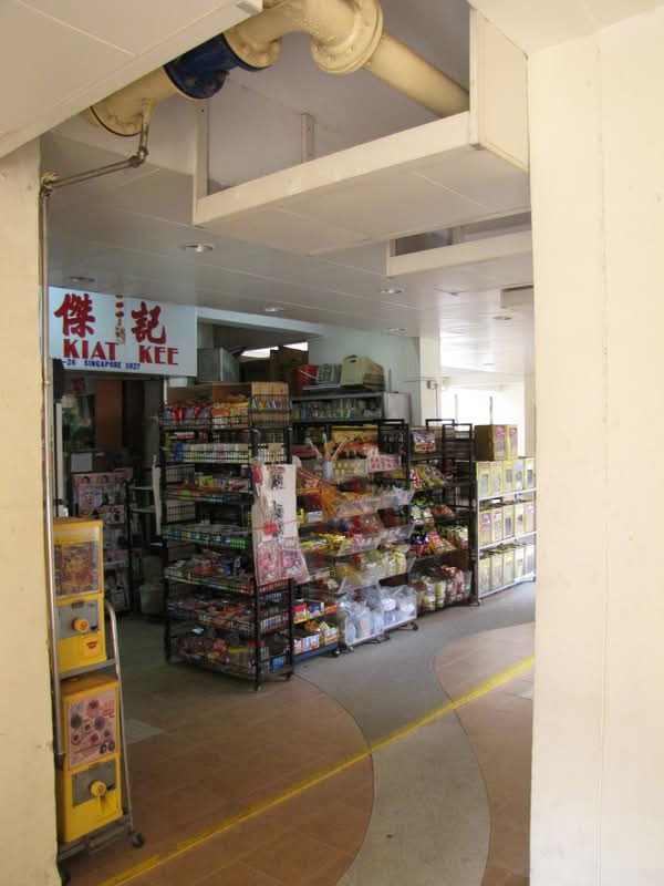 8 Holland Avenue