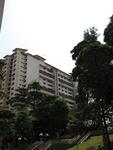 10 Holland Avenue #0