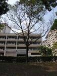 10 Holland Avenue #0