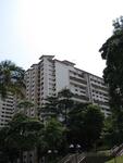 10 Holland Avenue #0
