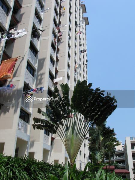 For Rent - 11 Holland Drive