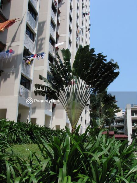 For Rent - 11 Holland Drive