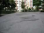 23 Holland Drive #0