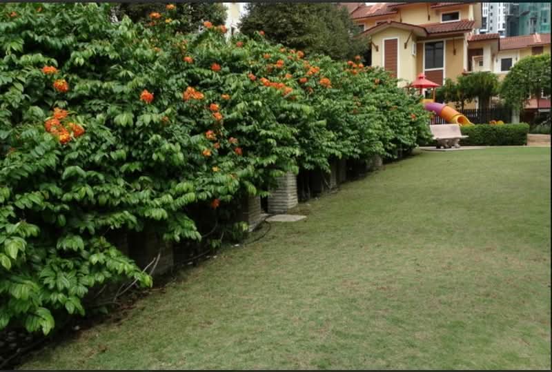 Rumah Teres 2.5 Tingkat untuk Dijual di Sri Hartamas (Kuala Lumpur) - Eric Lee - PropertyGuru.com.my