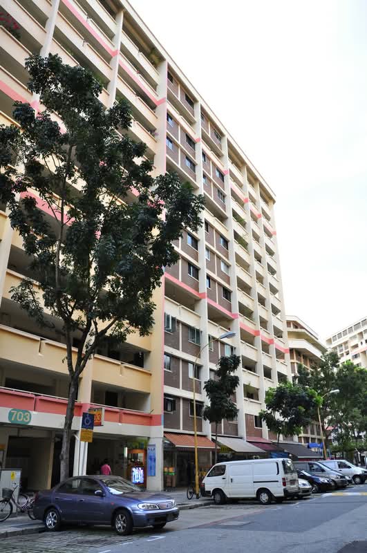 703 Hougang Avenue 2