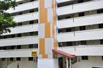 252 Hougang Avenue 3 #0