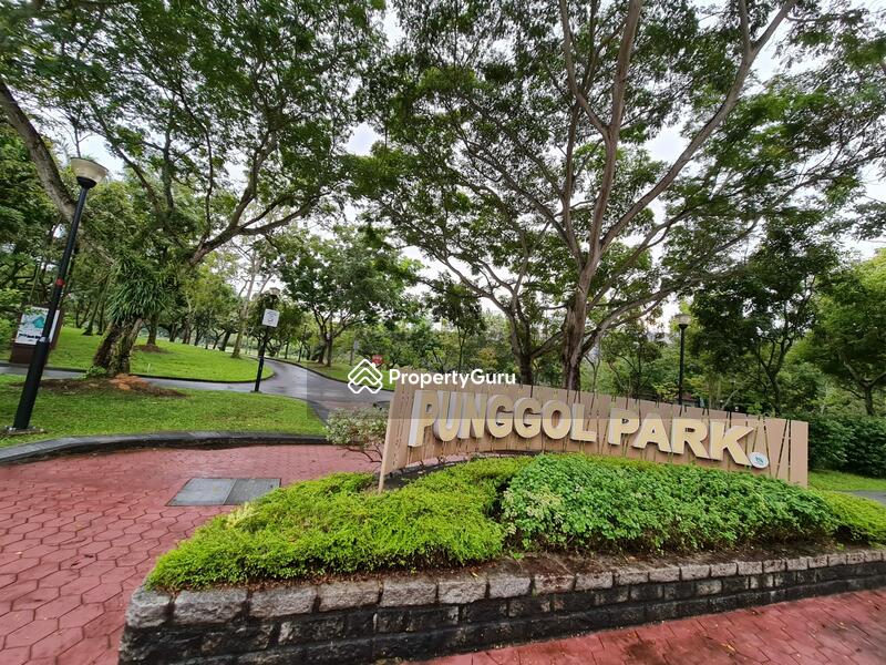 For Sale - 419 Hougang Avenue 8