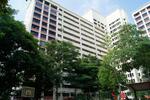 917 Hougang Avenue 9 #0