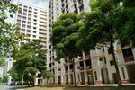 917 Hougang Avenue 9 #0