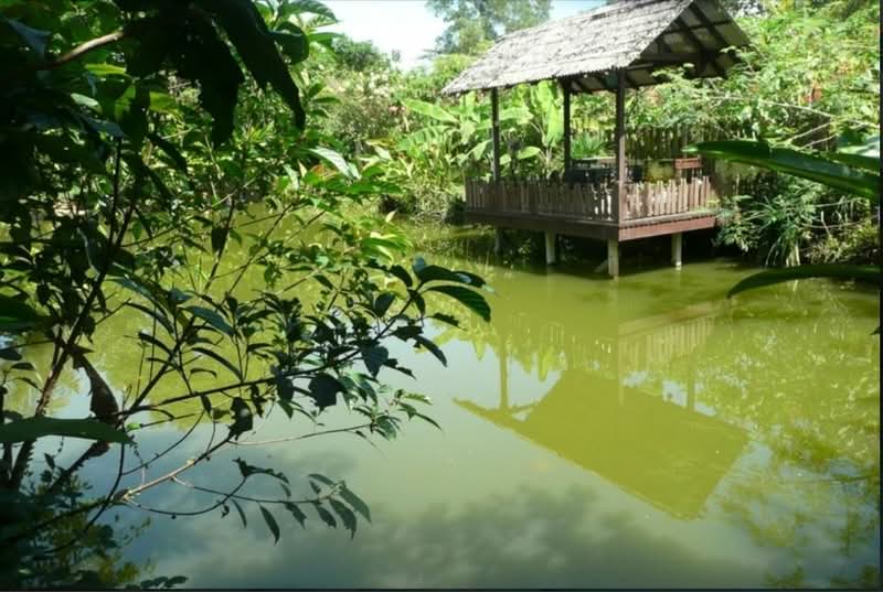 Bukit Rahman Putra - iProperty.com.my