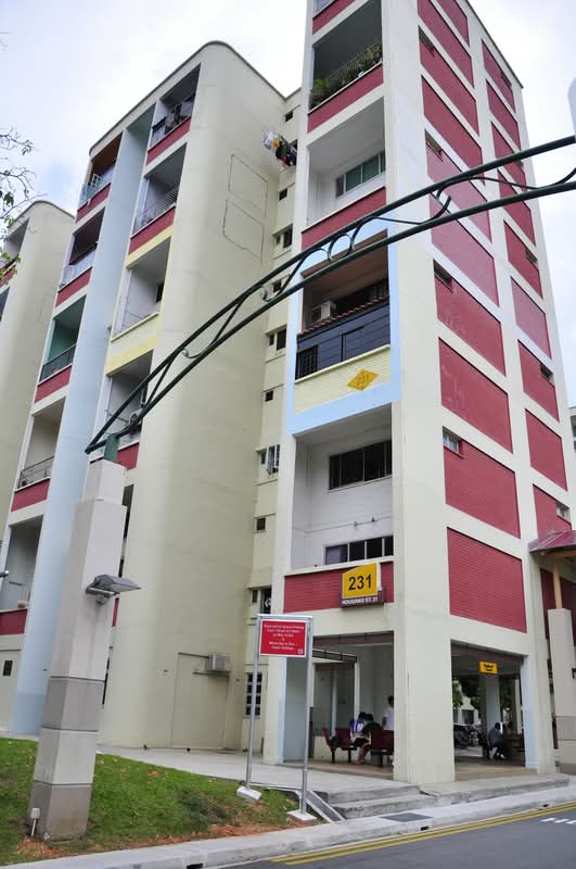 231 Hougang Street 21