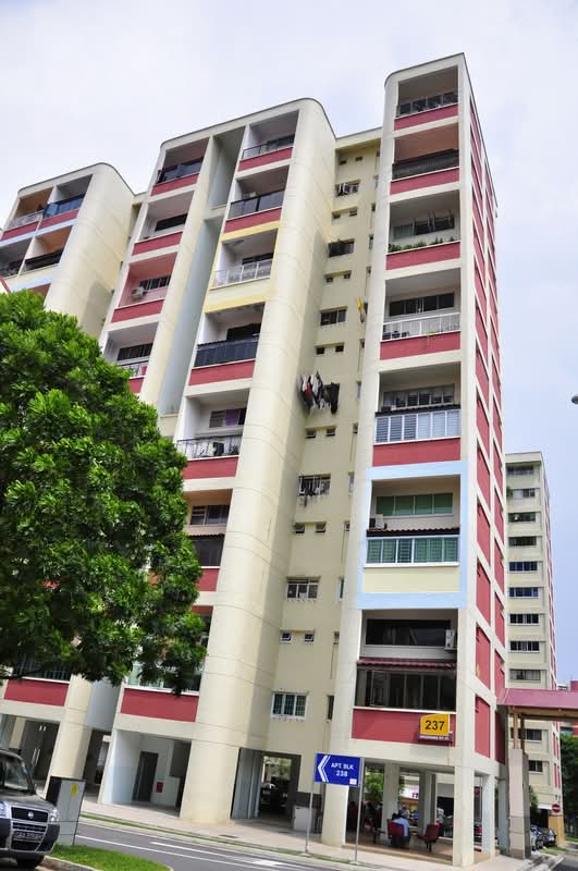 237 Hougang Street 21