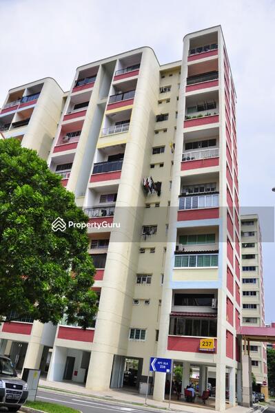 For Sale - 237 Hougang Street 21