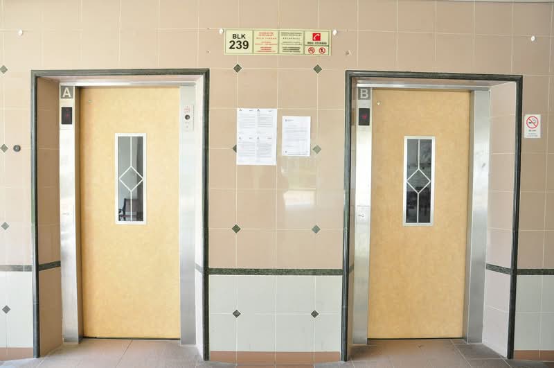 239 Hougang Street 22