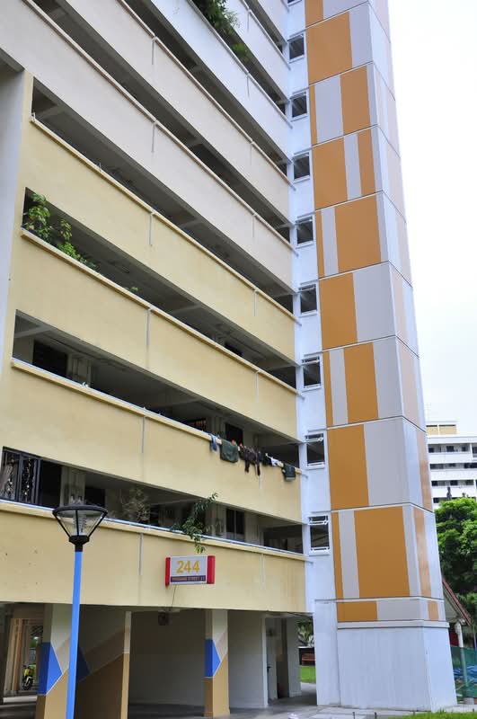 244 Hougang Street 22