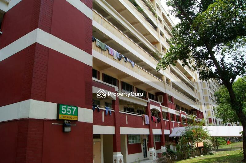For Rent - 557 Hougang Street 51