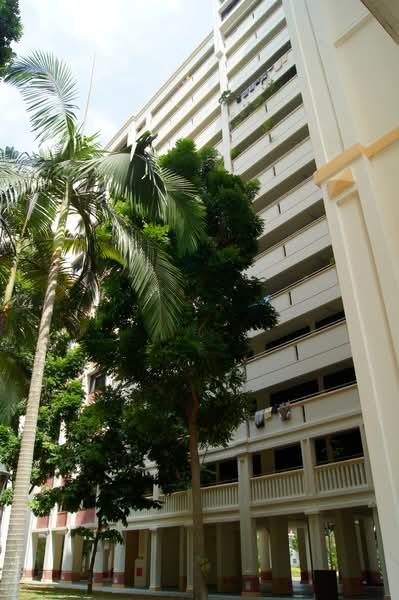 921 Hougang Street 91, 921 Hougang Street 91, Room Rental, 150 sqft, HDB Flat For Rent, by Sheryl Lim, 500203836 - PropertyGuru.com.sg