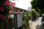 60 Jalan Bahagia #0