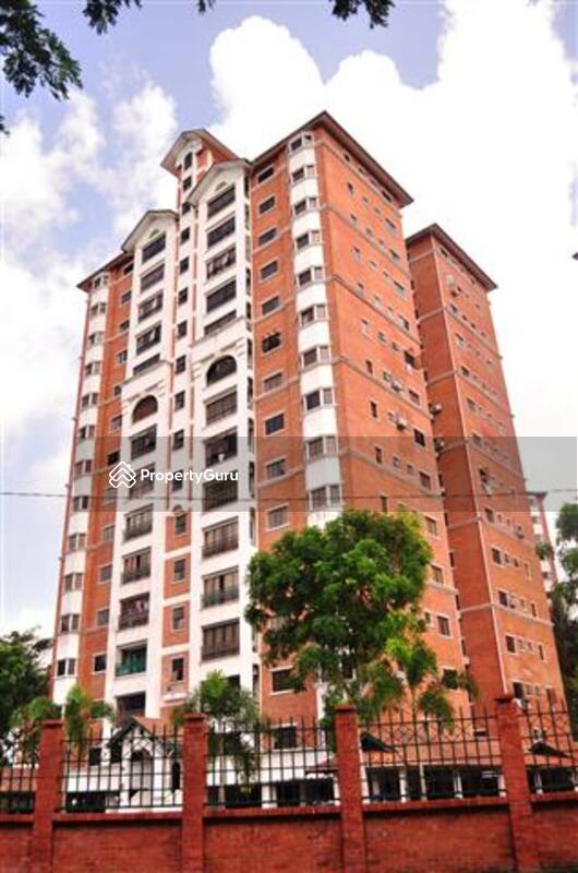 Evergreen Park Scot Pine #0