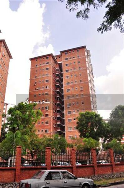 For Sale - Evergreen Park Scot Pine