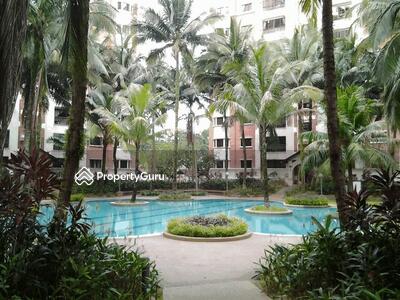 - Evergreen Park Scot Pine