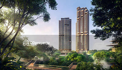 - The Forestias Signature Series
