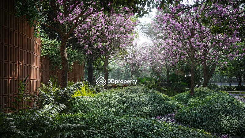ให้เช่า - The Forestias Signature Series : เดอะ ฟอเรสเทียส์ ซิกเนเจอร์ ซีรีส์, สมุทรปราการ