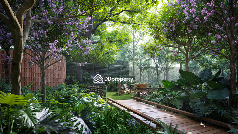 ให้เช่า - The Forestias Signature Series : เดอะ ฟอเรสเทียส์ ซิกเนเจอร์ ซีรีส์, สมุทรปราการ