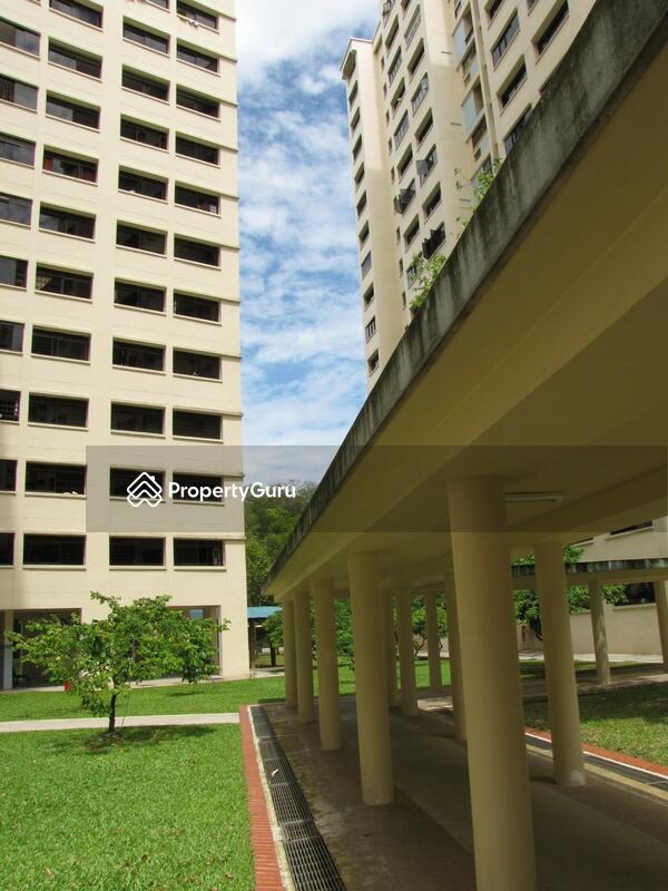 502 Jelapang Road #0