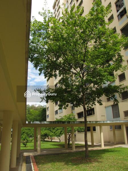 For Sale - 503 Jelapang Road