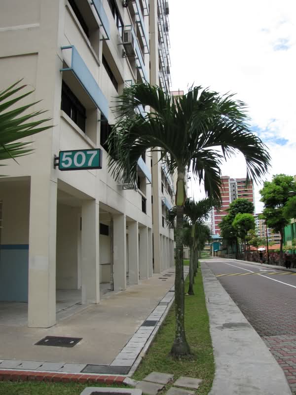 507 Jelapang Road