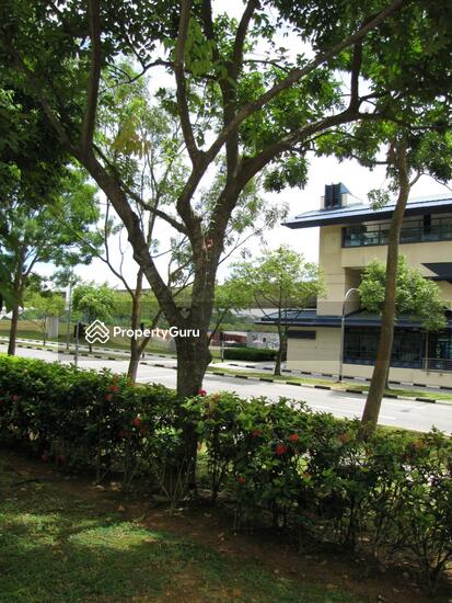 For Rent - 510 Jelapang Road