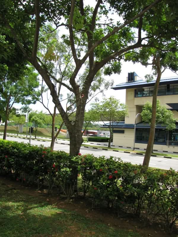 510 Jelapang Road