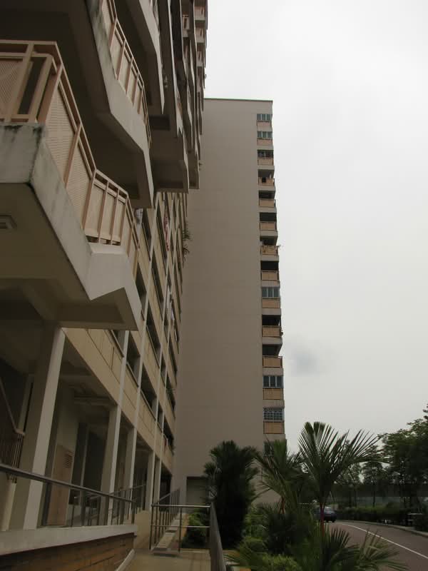 513 Jelapang Road
