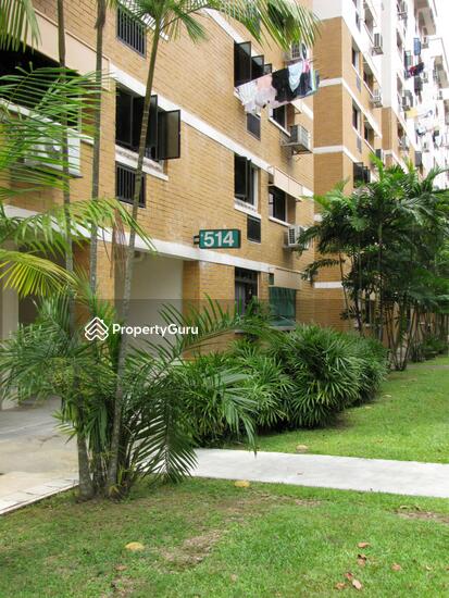 For Sale - 514 Jelapang Road