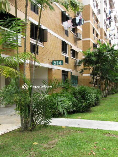 For Rent - 514 Jelapang Road