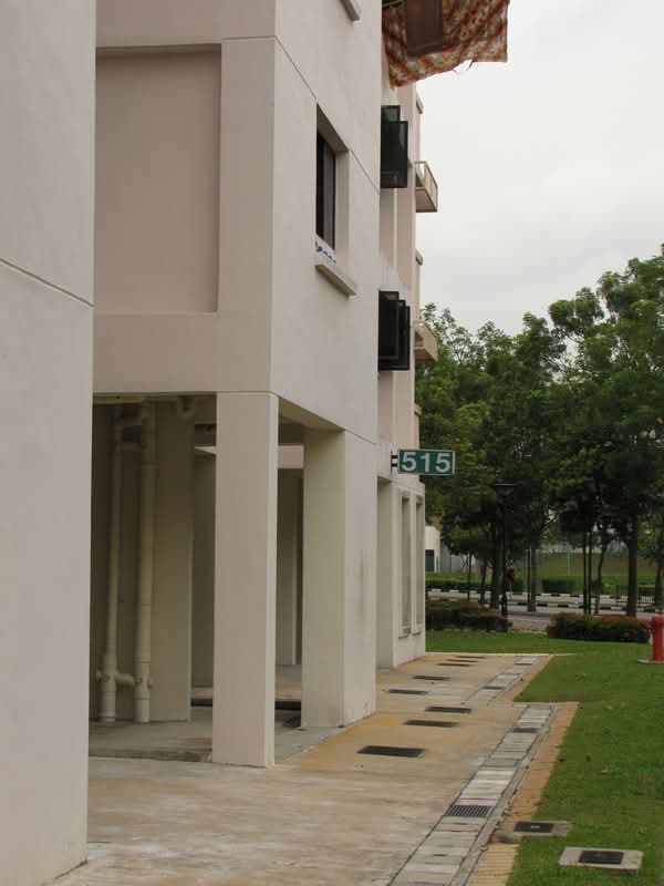515 Jelapang Road