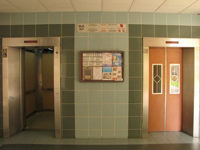 517 Jelapang Road #0