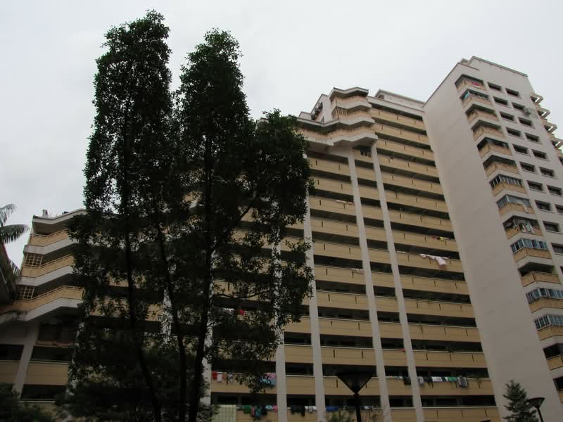 519 Jelapang Road