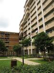 521 Jelapang Road #0