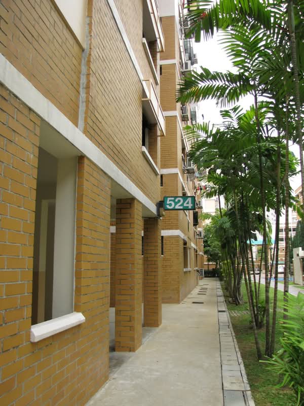 524 Jelapang Road