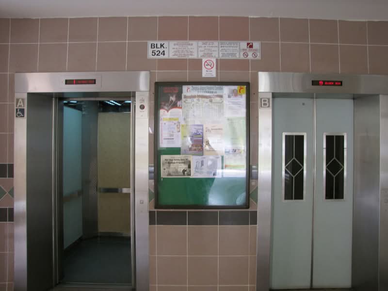 524 Jelapang Road