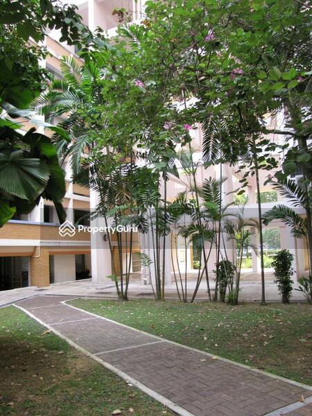 For Rent - 531 Jelapang Road