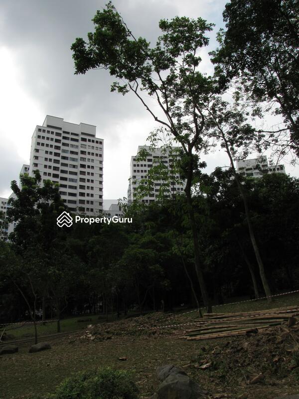538 Jelapang Road #0