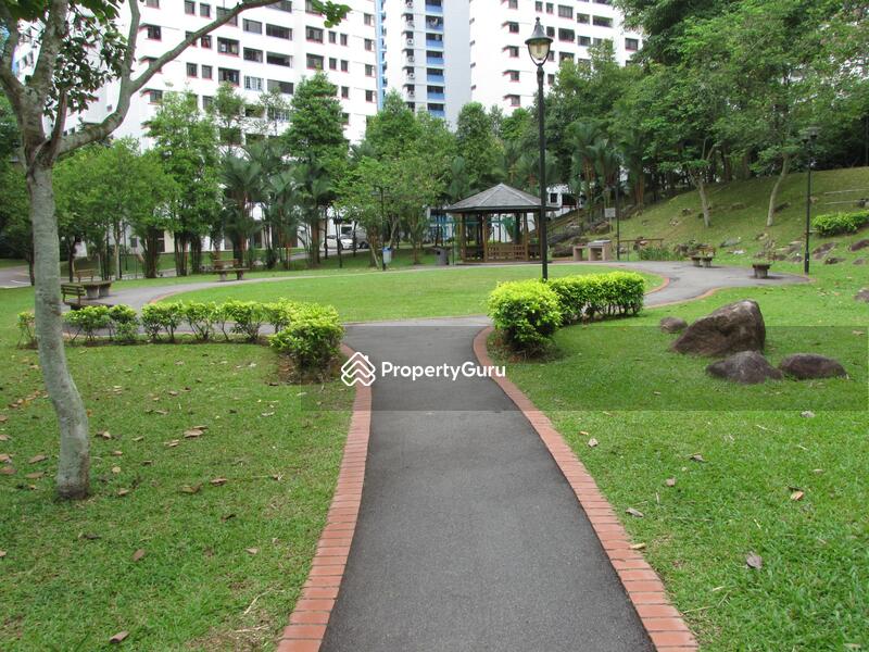 542 Jelapang Road #0
