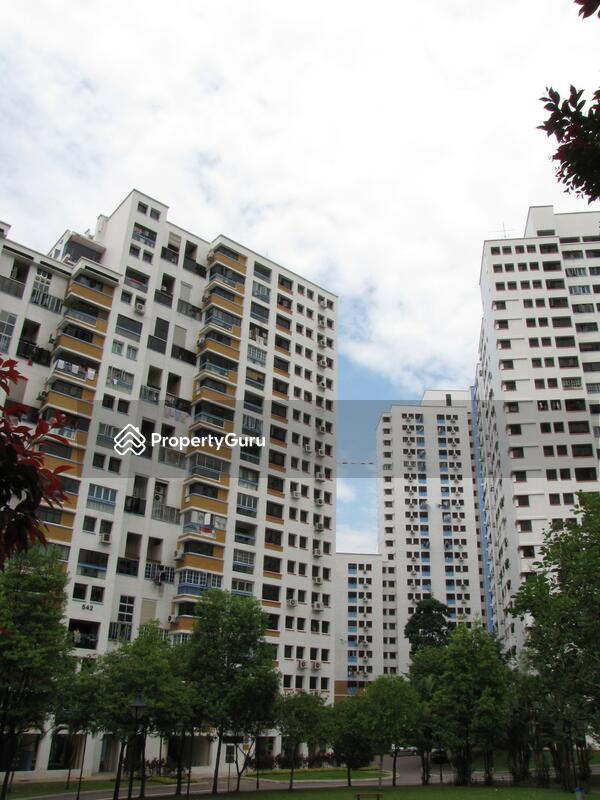 543 Jelapang Road #0
