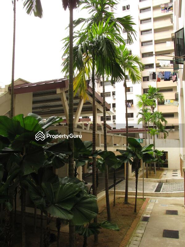 513A Jelapang Road #0